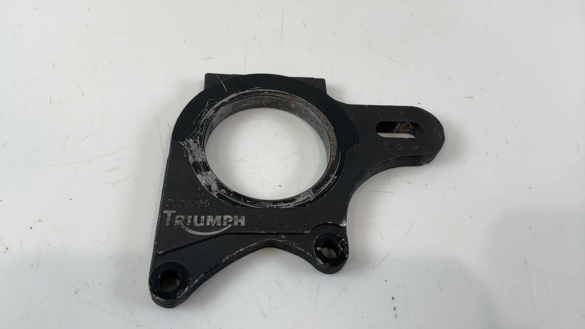 Triumph Daytona Speed Triple 955i Rear Brake Caliper Bracket 1997-06 OEM 2020239