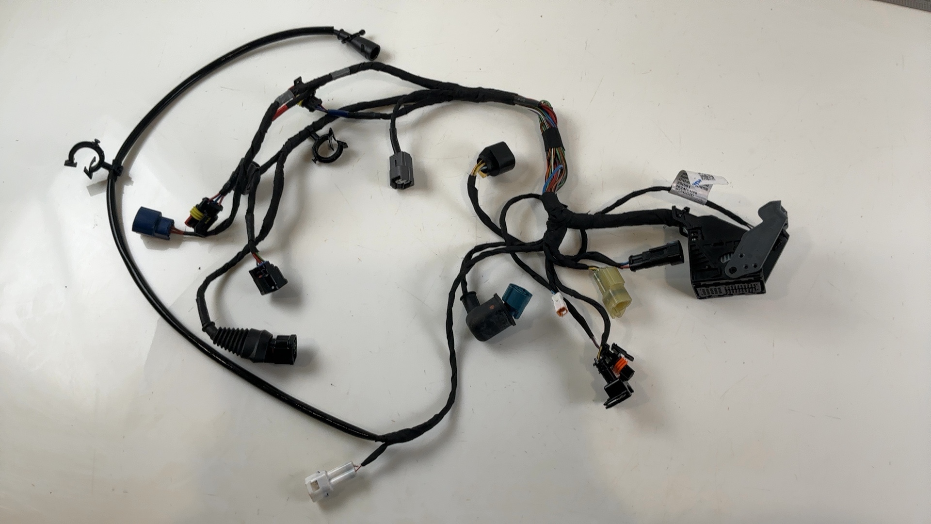 Aprilia Tuono 660 Factory 660 CC Main Wiring Harness 2024-2026 OEM 2D000882-01 - Image 6