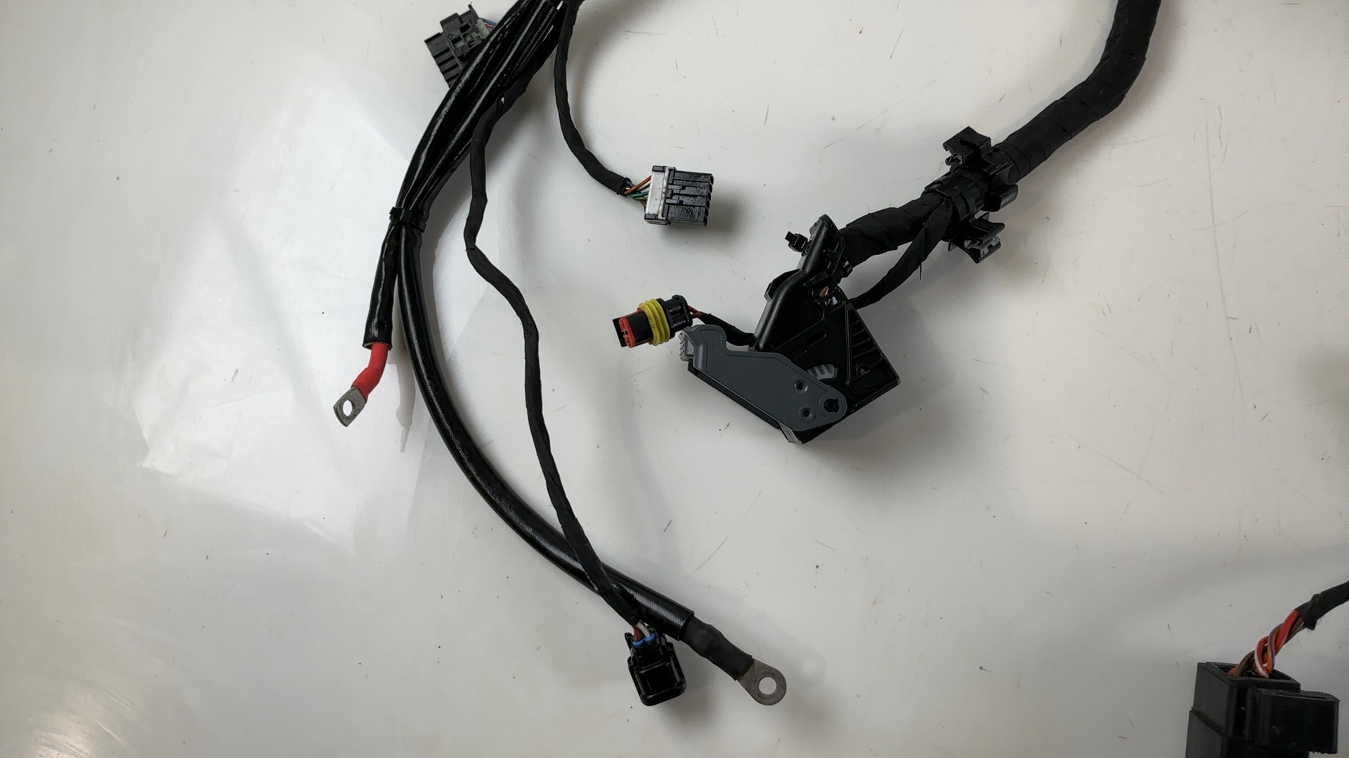 Aprilia Tuono V4 1100 Factory 1100cc Main Wiring Harness 2024-2026 OEM 2D000863 - Image 6