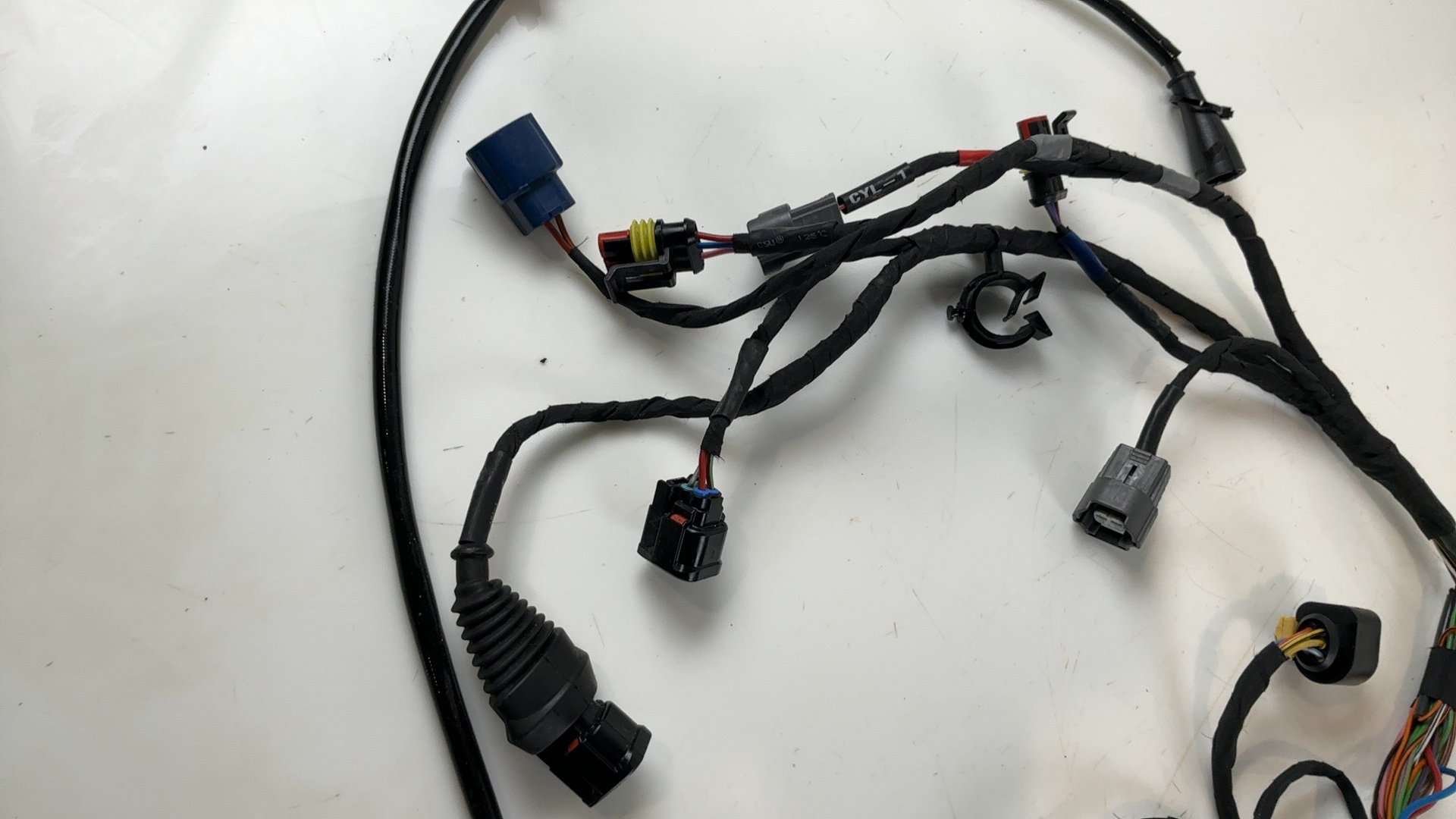 Aprilia Tuono 660 Factory 660 CC Main Wiring Harness 2024-2026 OEM 2D000882-01 - Image 8