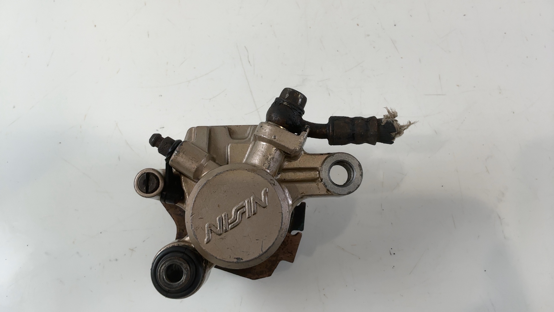Triumph Tiger 800 XC 800cc Rear Brake Caliper 2011 2012 2013 2014 OEM T2025050