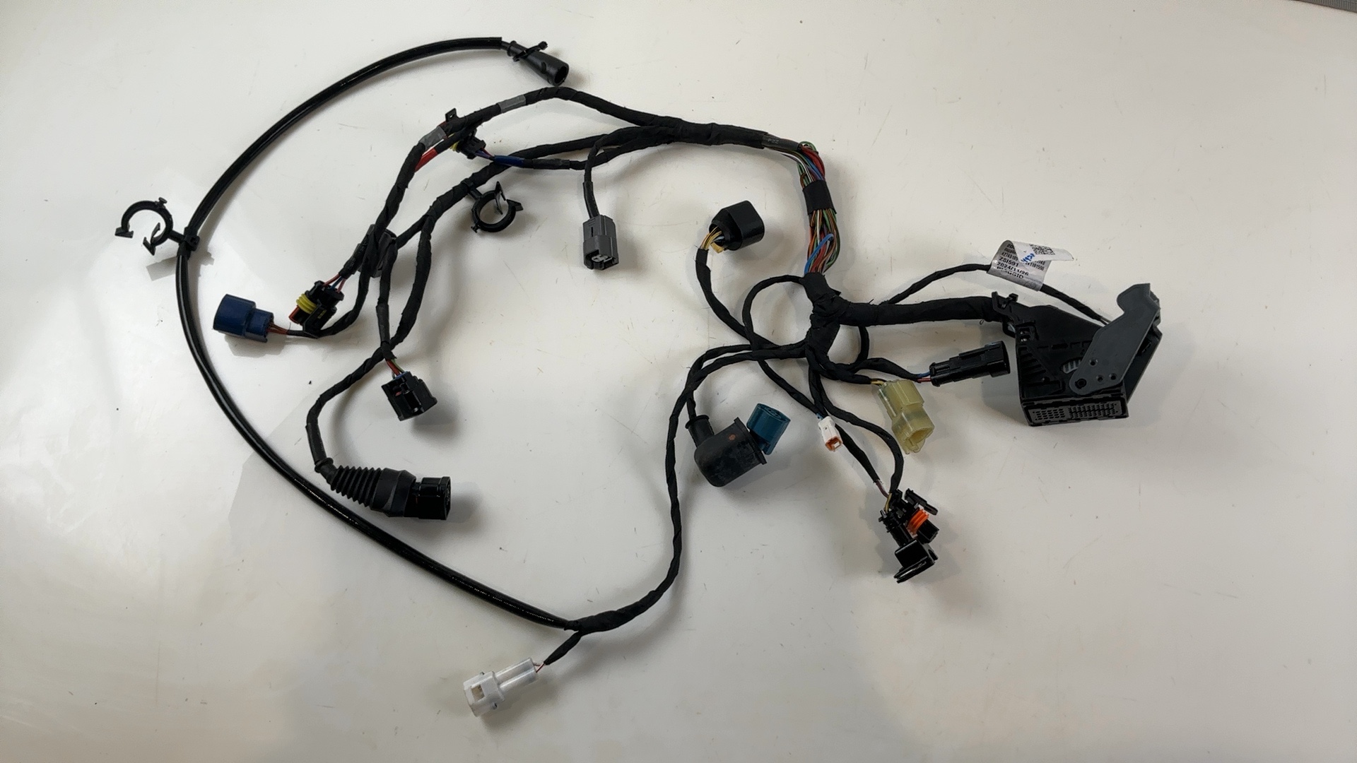 Aprilia Tuono 660 Factory 660 CC Main Wiring Harness 2024-2026 OEM 2D000882-01 - Image 5